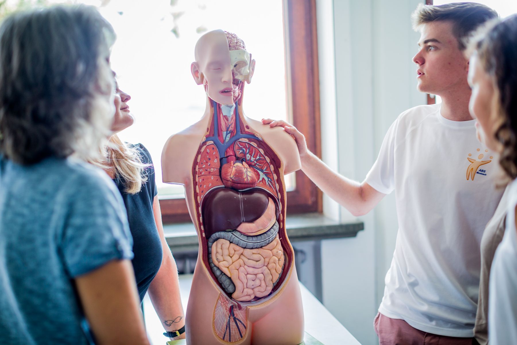 Auf dem Bild sieht man die Anatomie des menschlichen Körpers, welche aus Plastik besteht. 