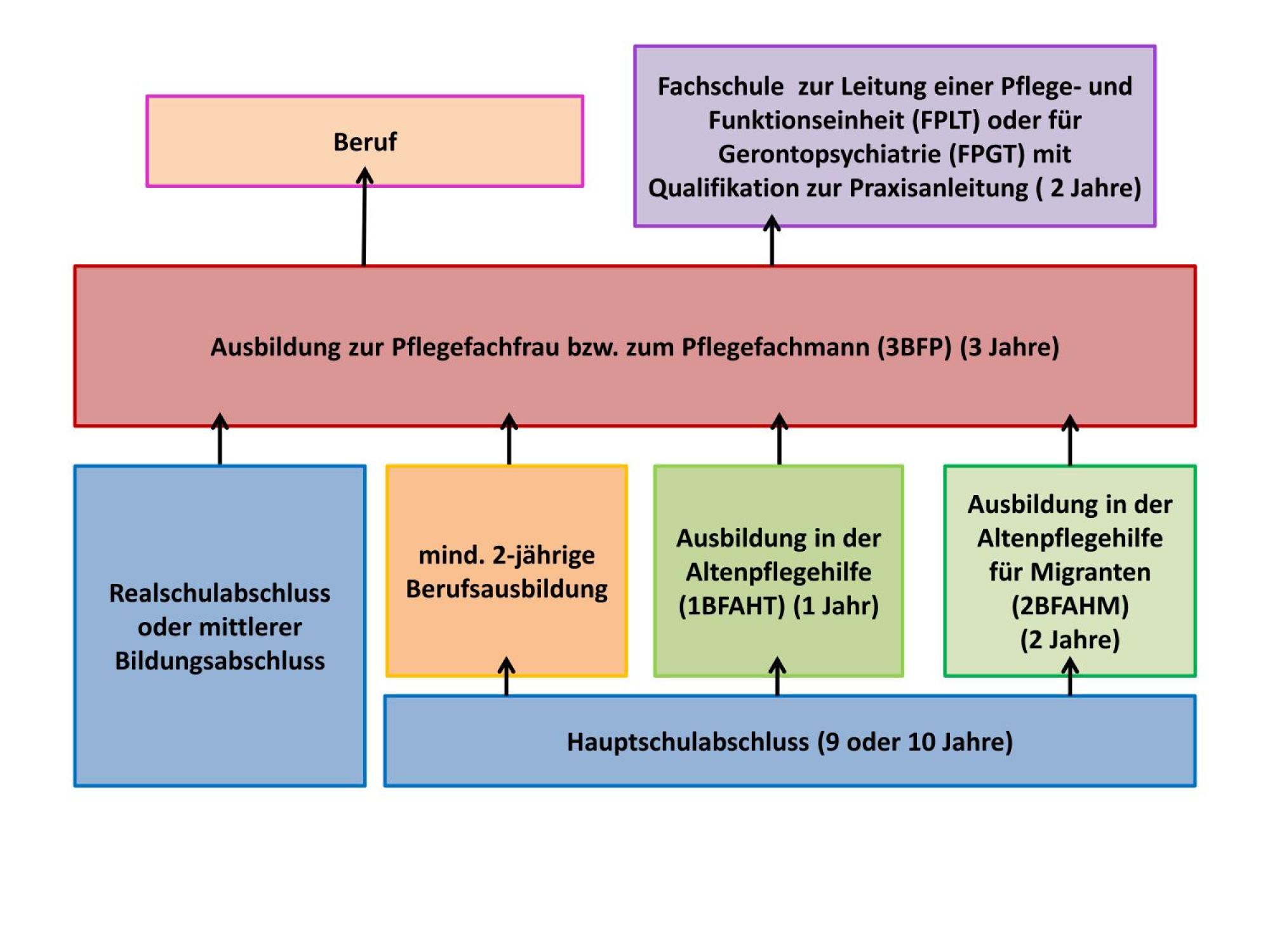Auf dem Bild werden Berufswege dargestellt.
